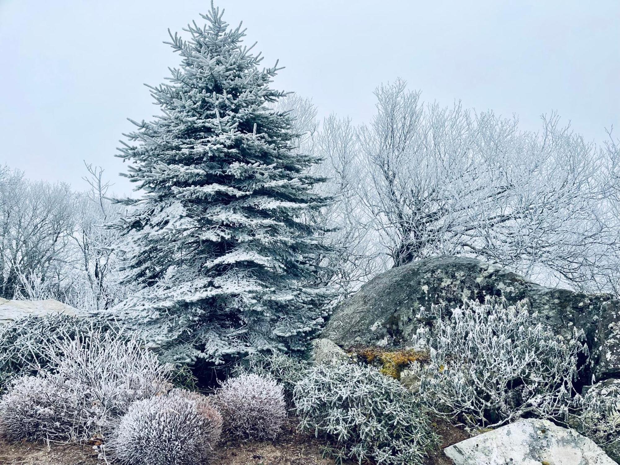 Bucket List Views Sugar Mountain Private Condo - 2Bed, 2Bath, Sleeps 6, Panoramic Views Of Mountains From Large Deck, Short Drive To Shopping, Restaurants, Cafes & Banner Elk Town Exteriér fotografie